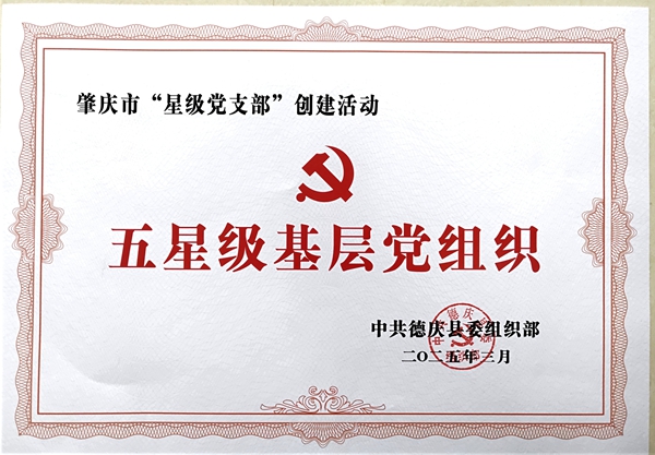德庆县委五星级基层党组织_副本.jpg